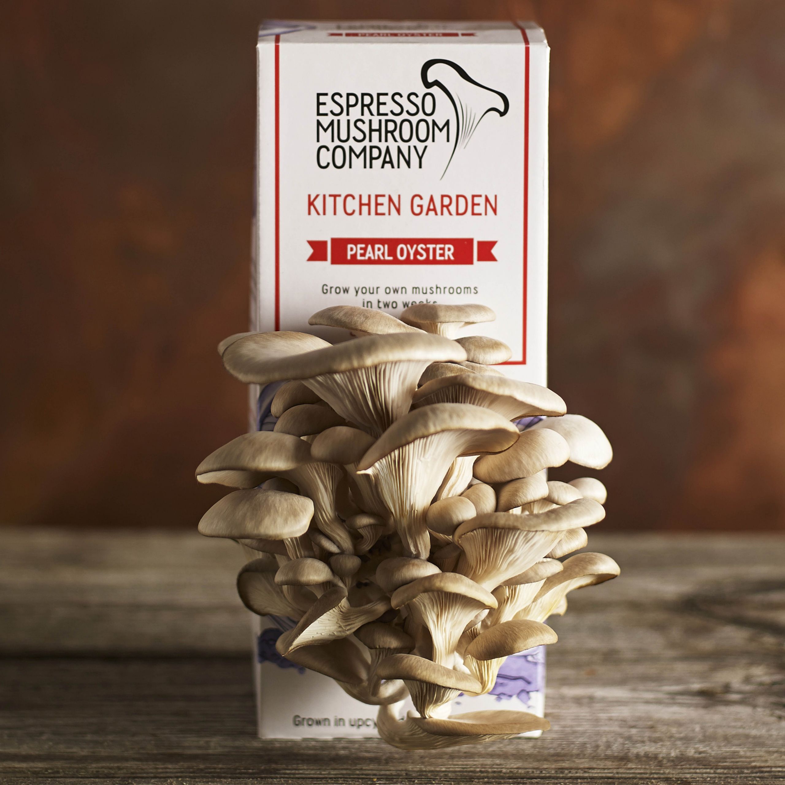 DIY Mushroom Kit
 How To Make A Homemade Mushroom Grow Kit – Homemade Ftempo