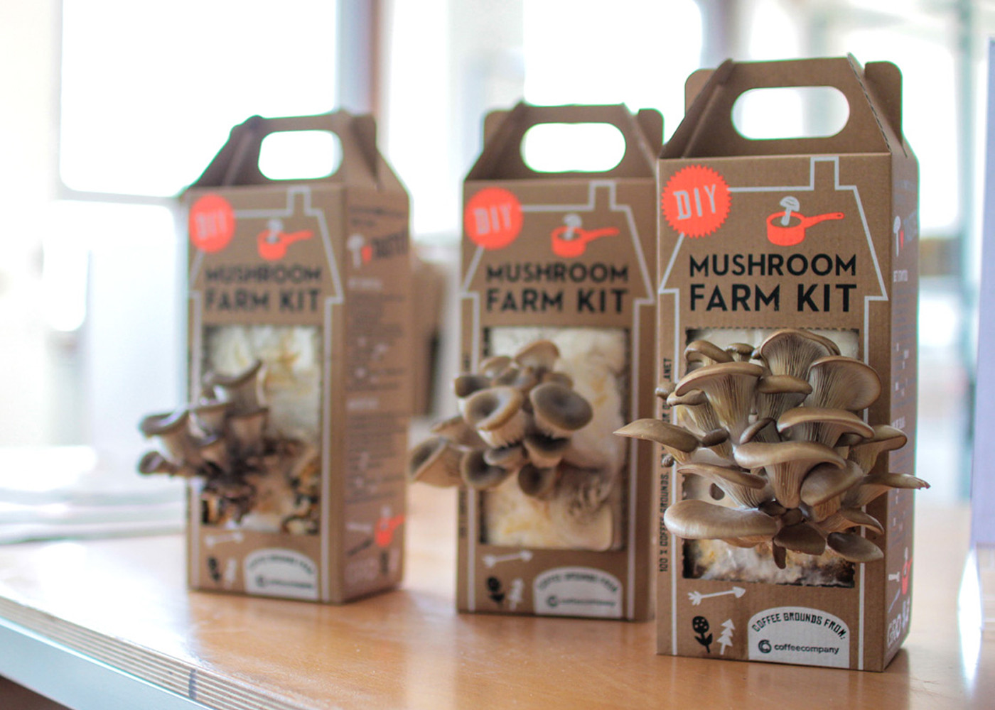 DIY Mushroom Kit
 DIY Mushroom Farm Kit Hutspot
