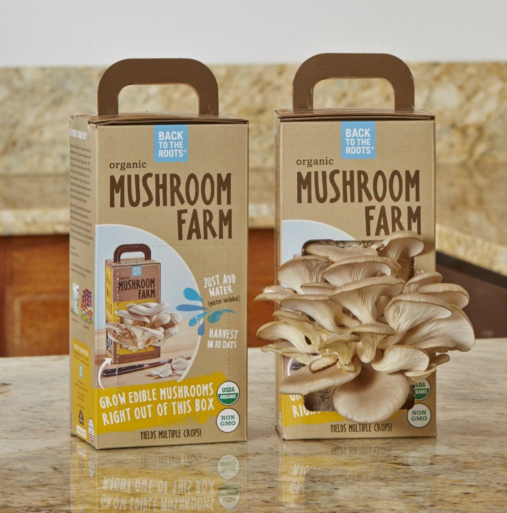 DIY Mushroom Kit
 Uniquely Creative Gifts for Gardeners & Nature Lovers