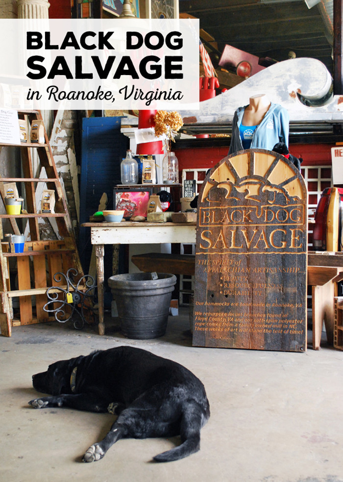 DIY Network Salvage Dogs
 Black Dog Salvage Home of the Salvage Dawgs