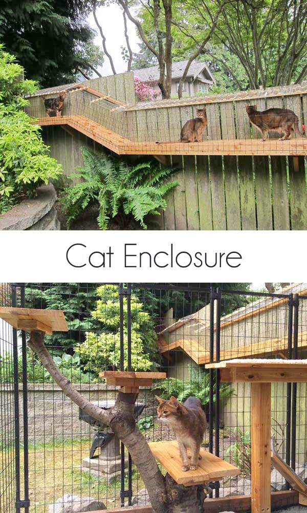 DIY Outdoor Cat Enclosure
 Awesome DIY backyard Cat Enclosure
