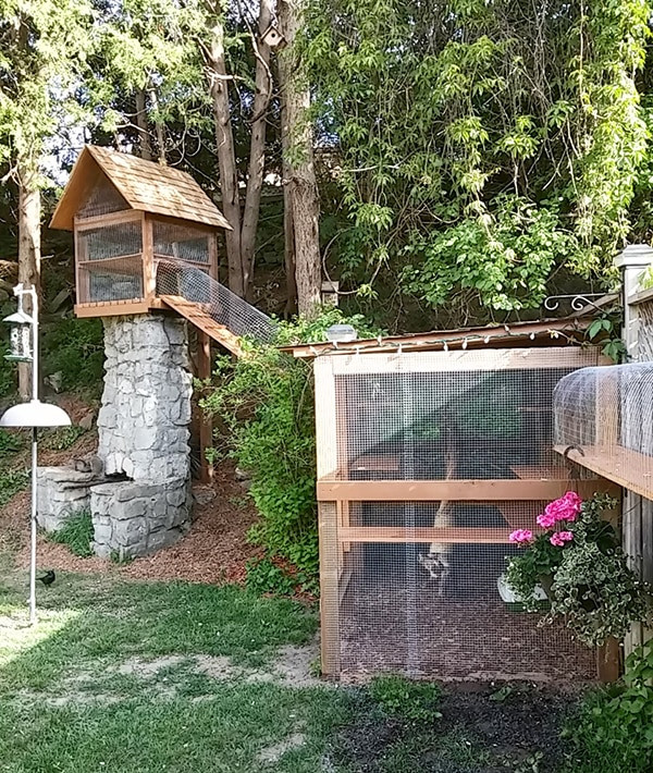 DIY Outdoor Cat Enclosure
 Another awesome outdoor cat enclosure