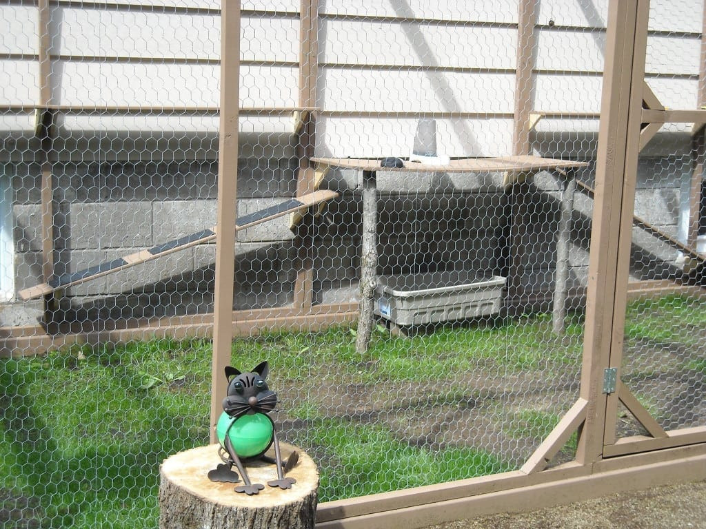 DIY Outdoor Cat Enclosure
 How To build an outdoor cat enclosure or catio