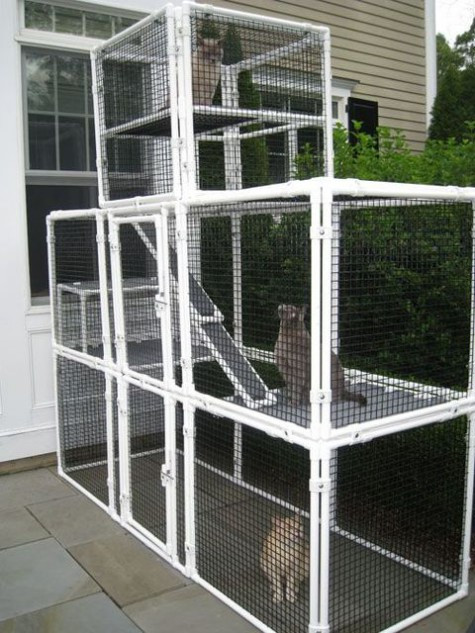 DIY Outdoor Cat Enclosure
 51 Outdoor Cat Enclosures Your Cat