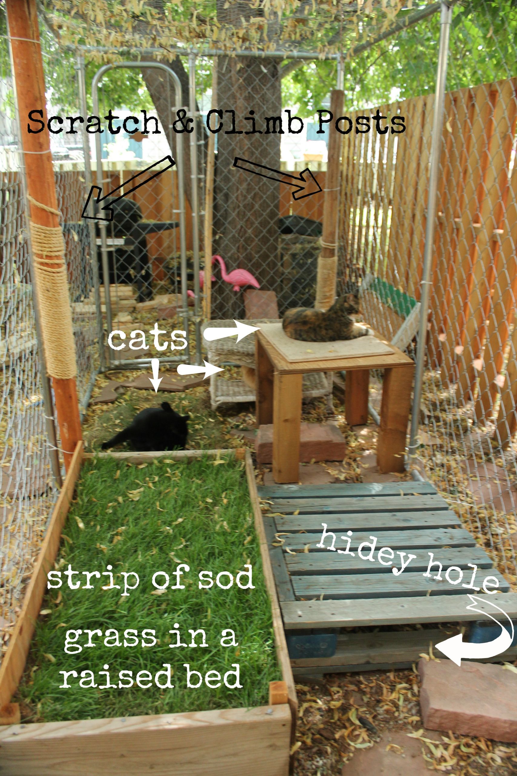 DIY Outdoor Cat Enclosure
 catio