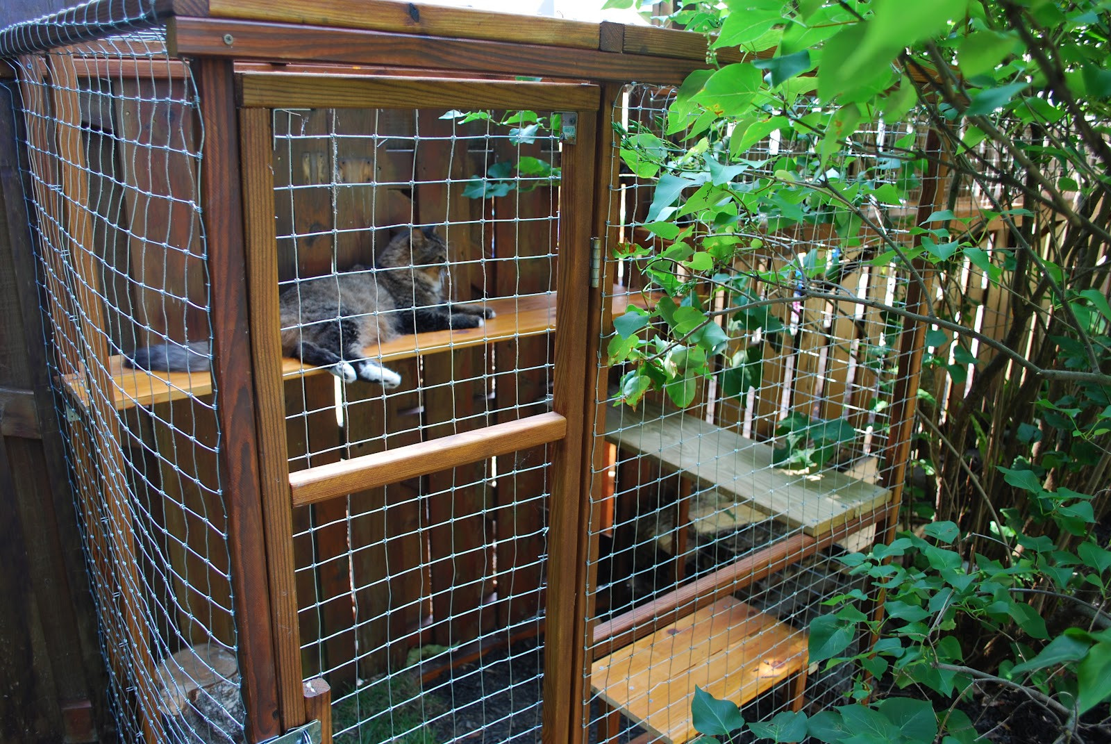 DIY Outdoor Cat Enclosure
 Easy DIY Cat Enclosure Cuckoo4Design