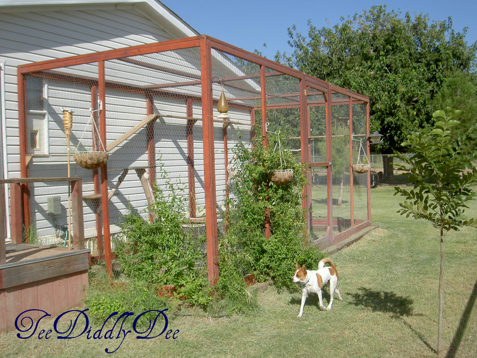 DIY Outdoor Cat Enclosure
 How To build an outdoor cat enclosure or catio