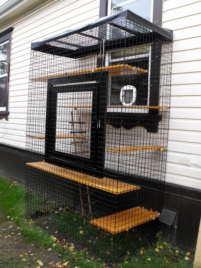 DIY Outdoor Cat Enclosure
 How to build an outdoor cat run