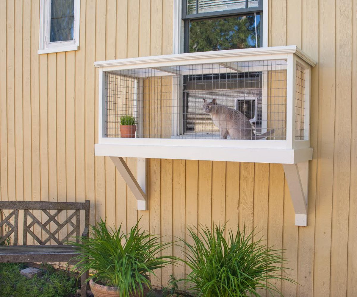 DIY Outdoor Cat Enclosure
 How a Seattle designer builds safe outdoor spaces for