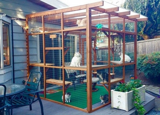 DIY Outdoor Cat Enclosures
 25 Best DIY Cat Enclosure Plans & Ideas ⋆ Bright Stuffs