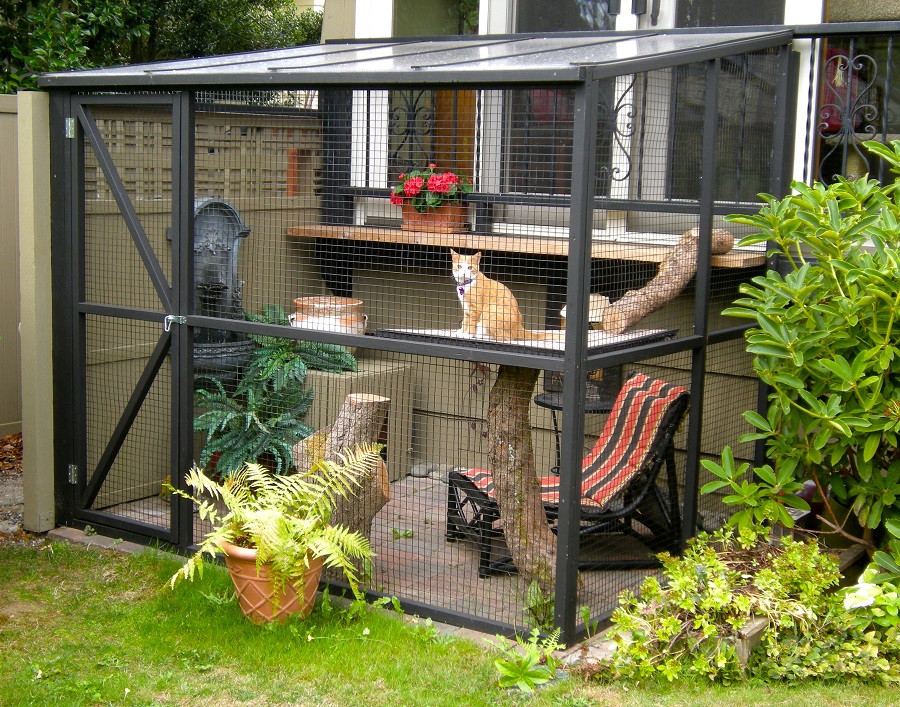DIY Outdoor Cat Enclosures
 DIY Projects Build Your Own Cat Enclosure Melsteel