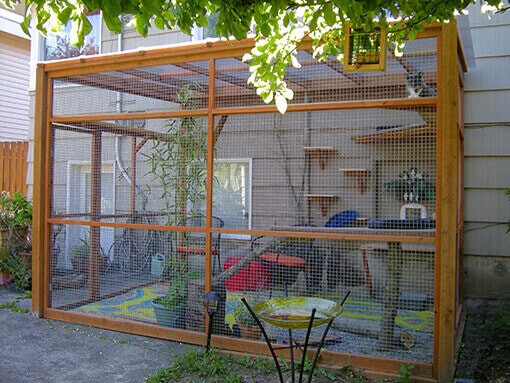 DIY Outdoor Cat Enclosures
 DIY Catio Plans Catio Spaces
