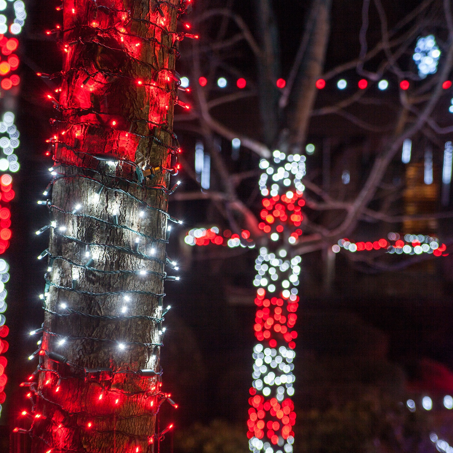 DIY Outdoor Christmas Light Tree
 Outdoor Christmas Decorating Ideas Yard Envy