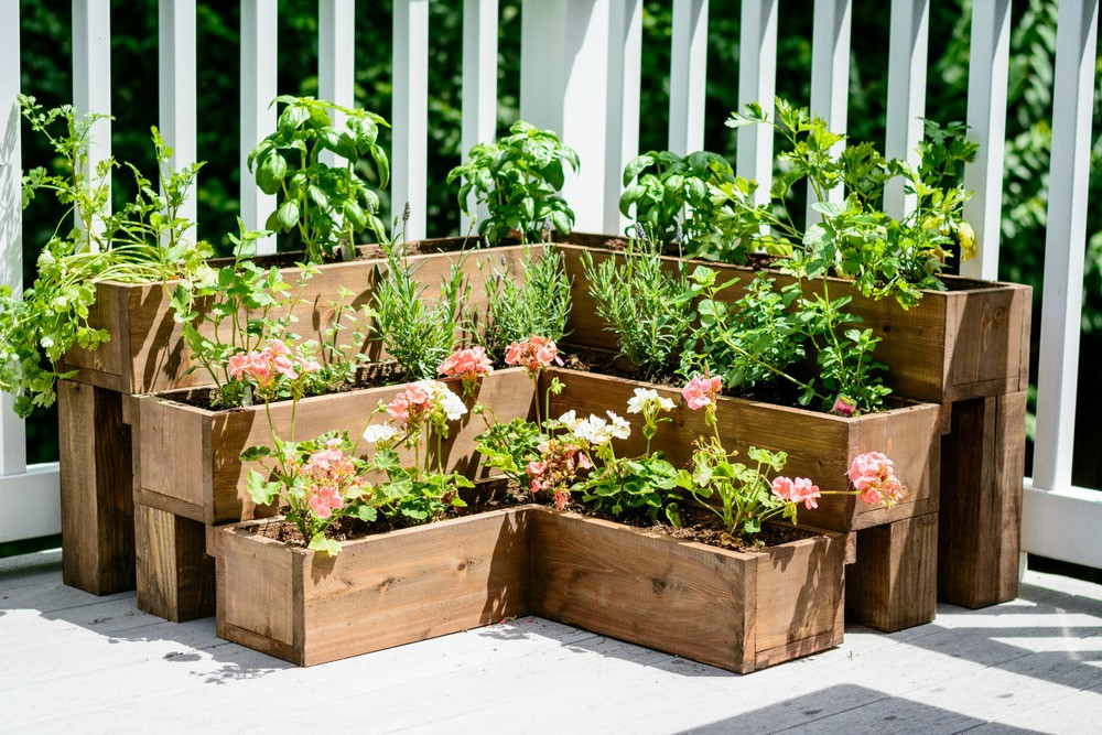 DIY Outdoor Herb Garden
 12 Medicinal Herbs You Can Grow In Your Own Garden