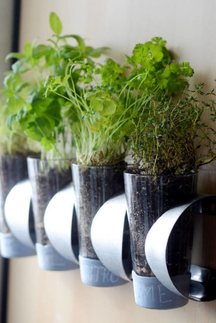 DIY Outdoor Herb Garden
 DIY Indoor Herbs Garden Ideas