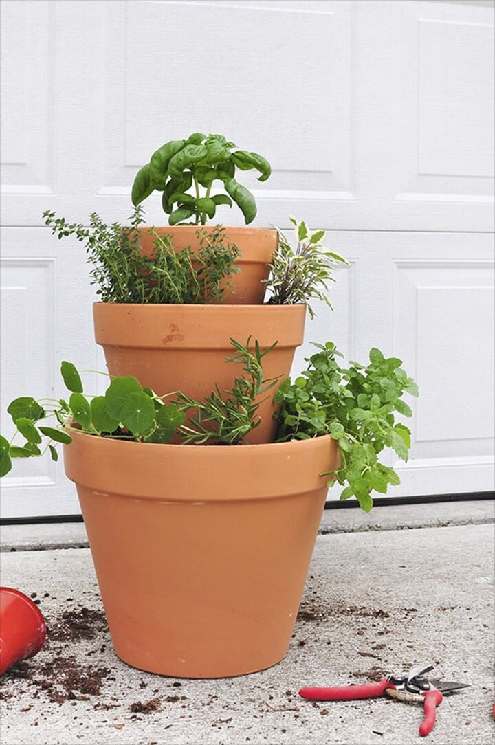DIY Outdoor Herb Garden
 Herb Gardens To Practice Your Green Thumb With