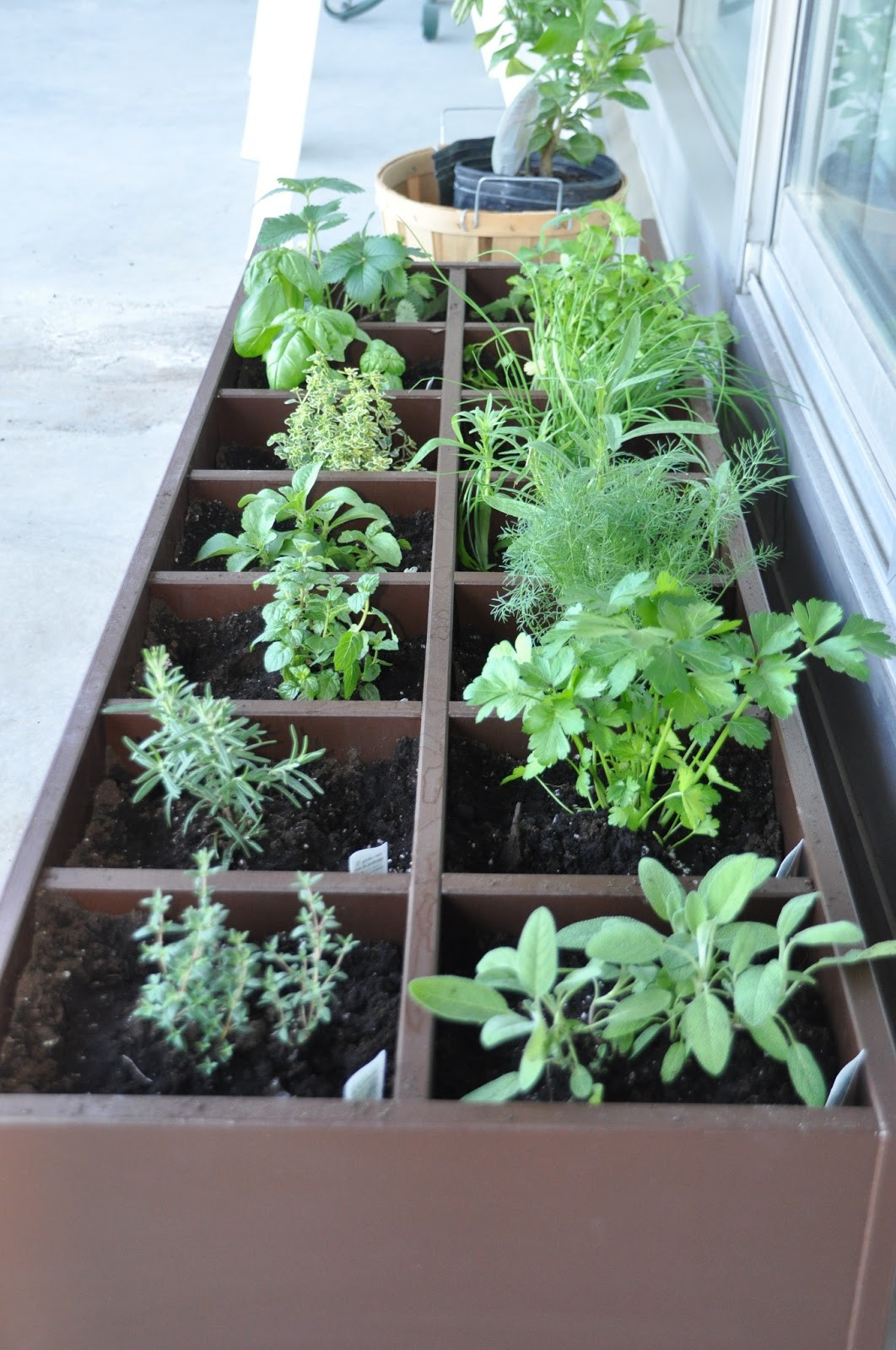 DIY Outdoor Herb Garden
 Craftionary