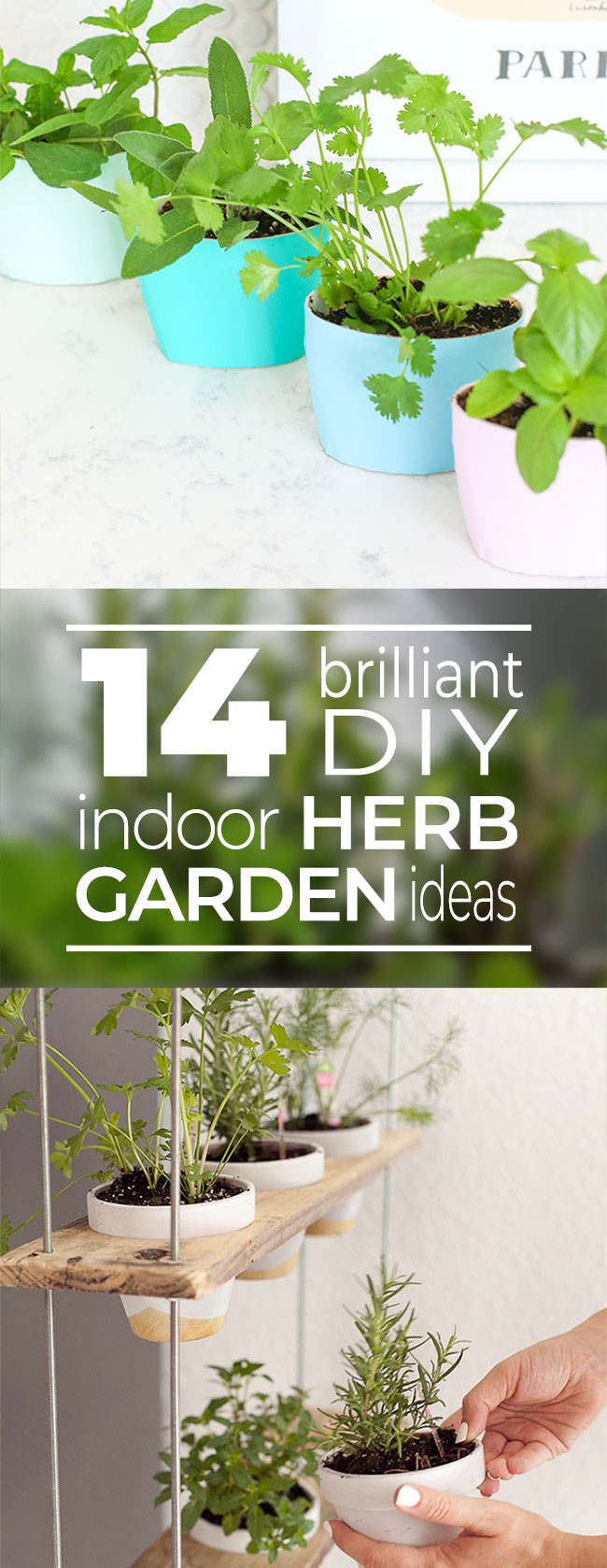 DIY Outdoor Herb Garden
 14 Brilliant DIY Indoor Herb Garden Ideas • The Garden Glove