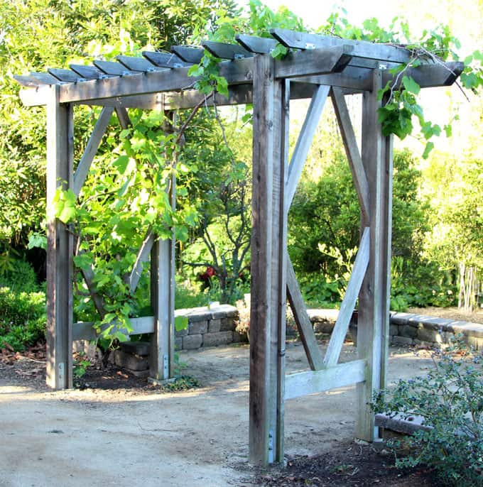 DIY Outdoor Pergola
 Simple DIY Pergola Grape Arbor Free Building Plan A