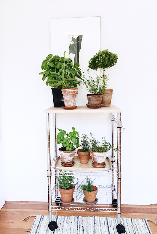 DIY Outdoor Plant Stand Ideas
 15 DIY Plant Stands You Can Make Yourself – Home and
