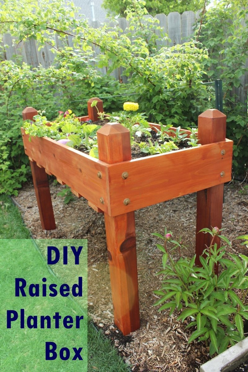 DIY Outdoor Planter Box
 DIY Raised Planter Box – A Step by Step Building Guide