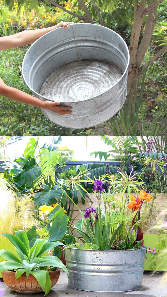 DIY Outdoor Water Features
 Easy DIY Solar Fountain in 1 Hour with Pond Water Plants