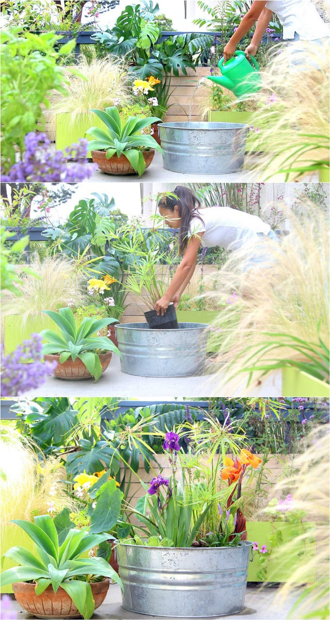 DIY Outdoor Water Fountain
 Easy DIY Solar Fountain in 1 Hour with Pond Water Plants