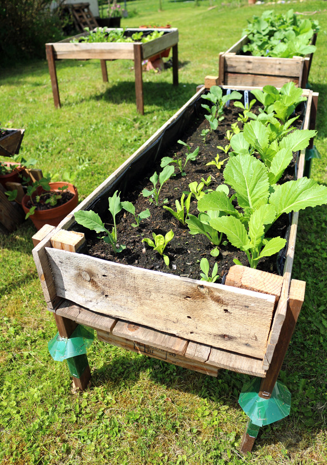 DIY Pallet Garden Box
 CONTAINER GARDENING Easy DIY Elevated Planter Box from Pallet