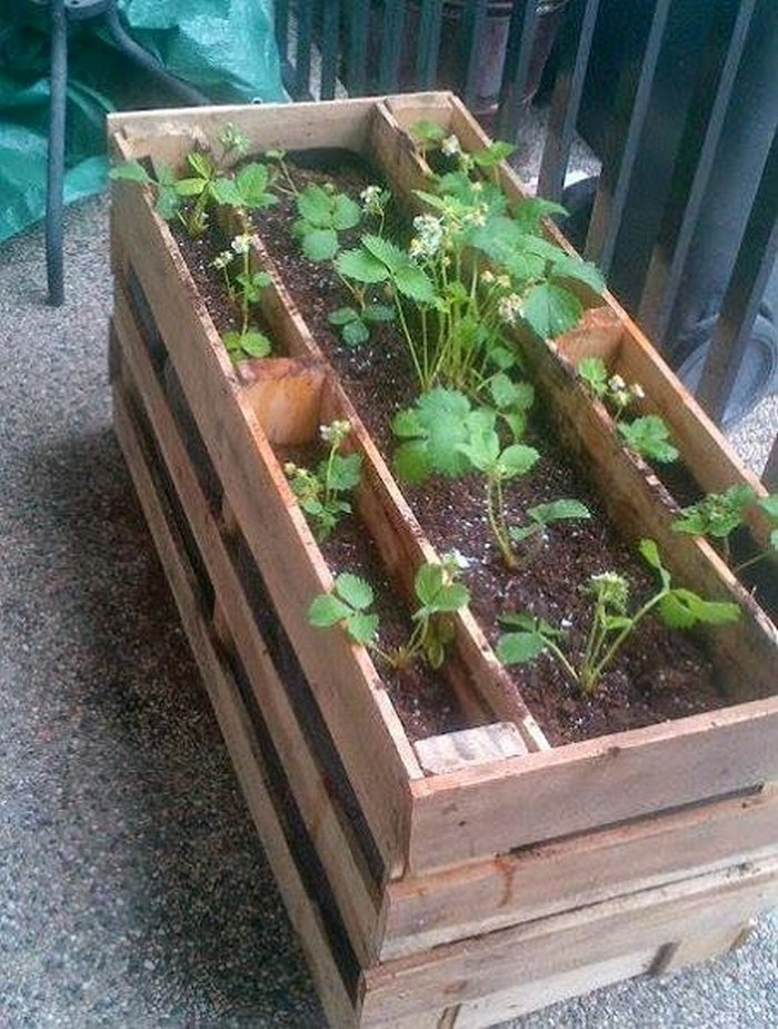 DIY Pallet Planter Box
 Make a pallet planter box for beautiful cascading flowers