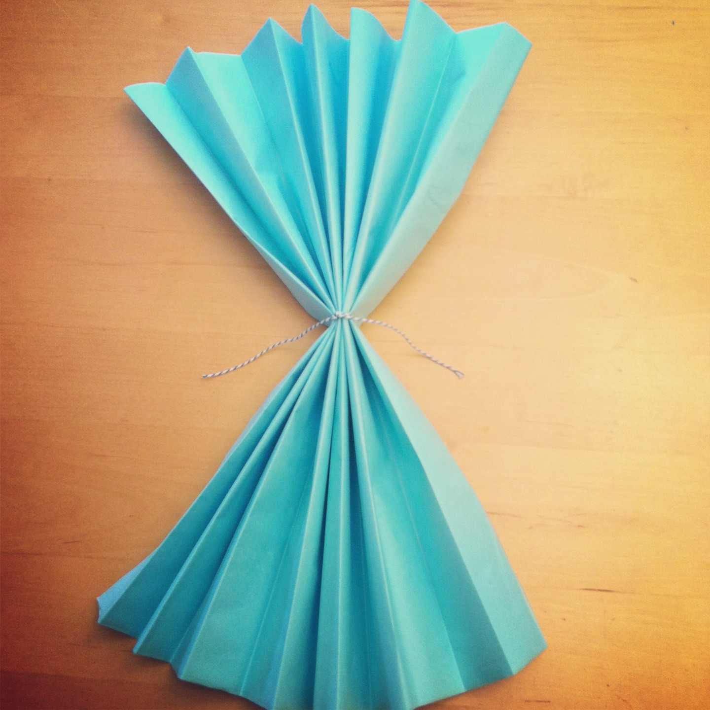 DIY Paper Decorations
 Tutorial How To Make DIY Giant Tissue Paper Flowers