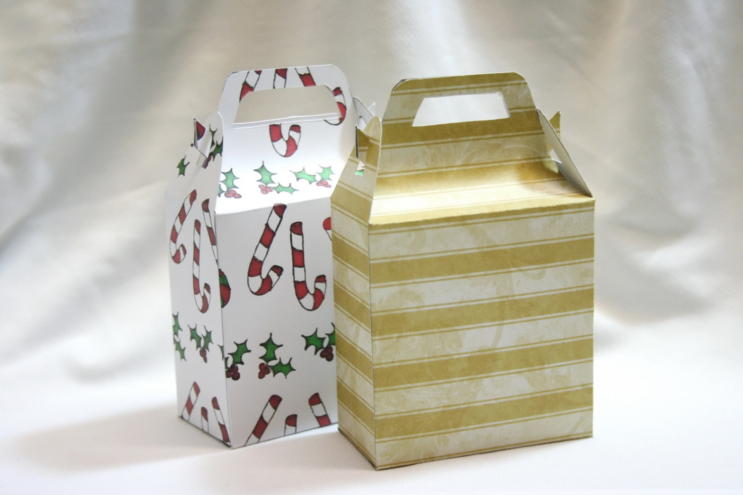 DIY Paper Gift Bag
 DIY Bag Gift Bag Paper Bag Bag Template Printable Gift