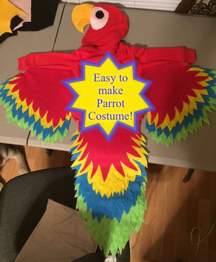DIY Parrot Costume
 25 best costume DIY rainbow macaw parrot images on