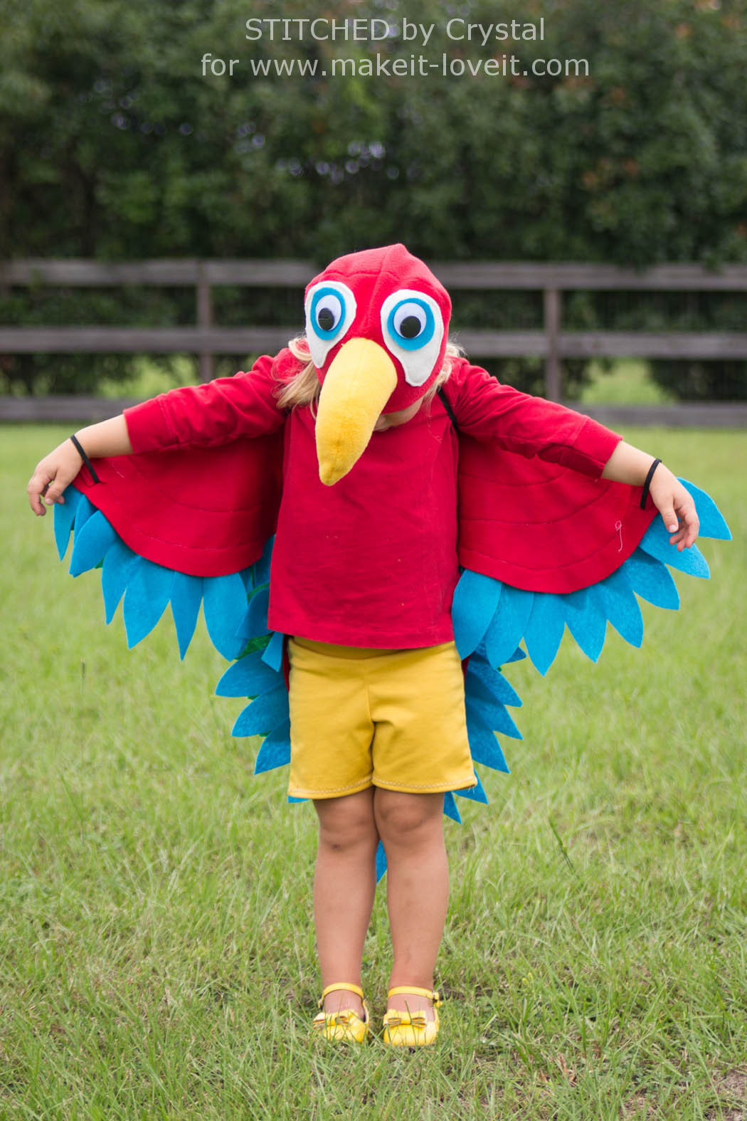 DIY Parrot Costume
 Sew an Easy Parrot Costume