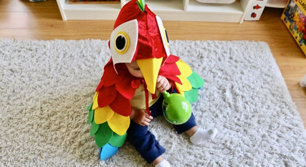 DIY Parrot Costume
 Easy No Sew DIY Parrot Costume Play