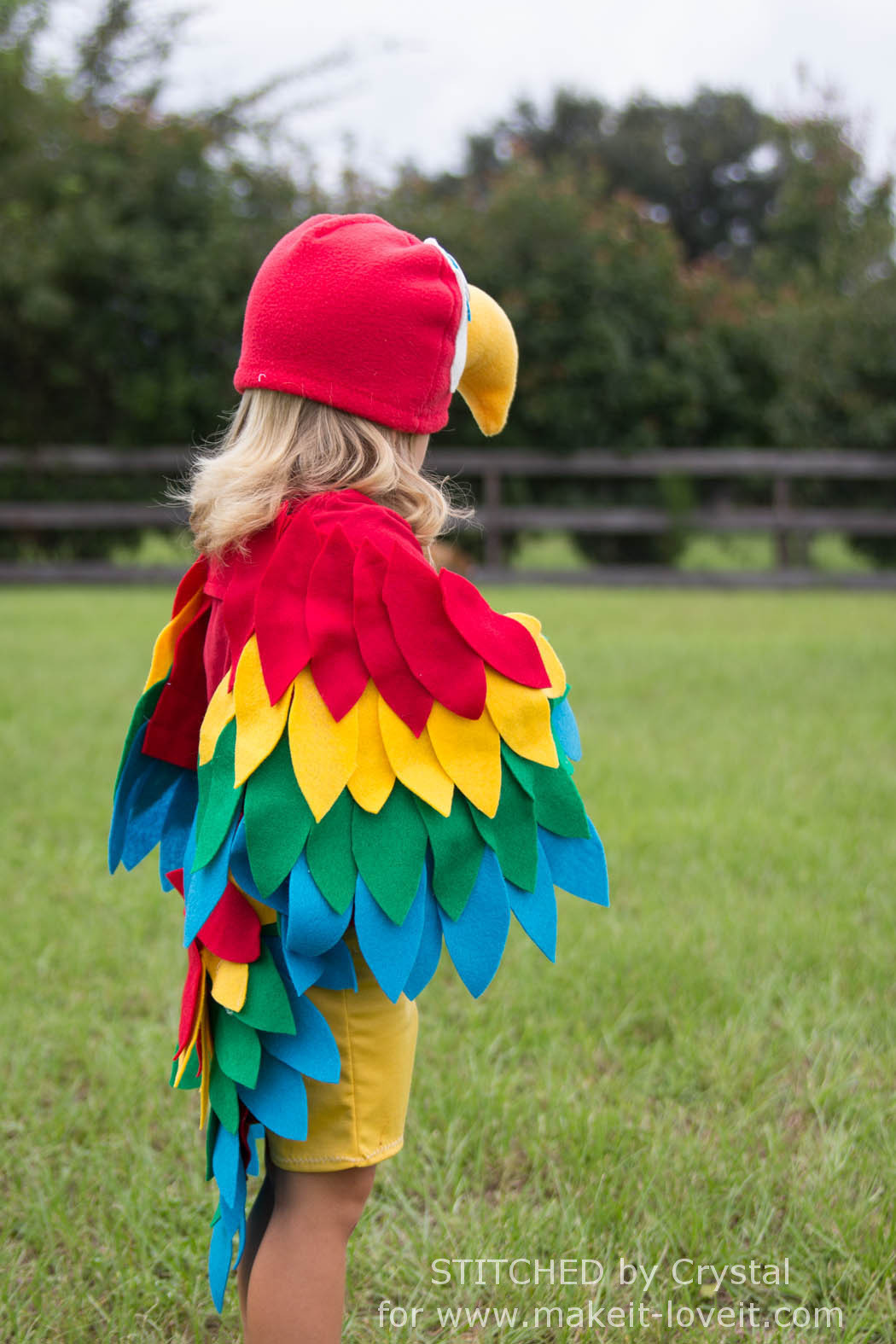 DIY Parrot Costume
 Parrot Costume DIY How to Make a Homemade Parrot Costume