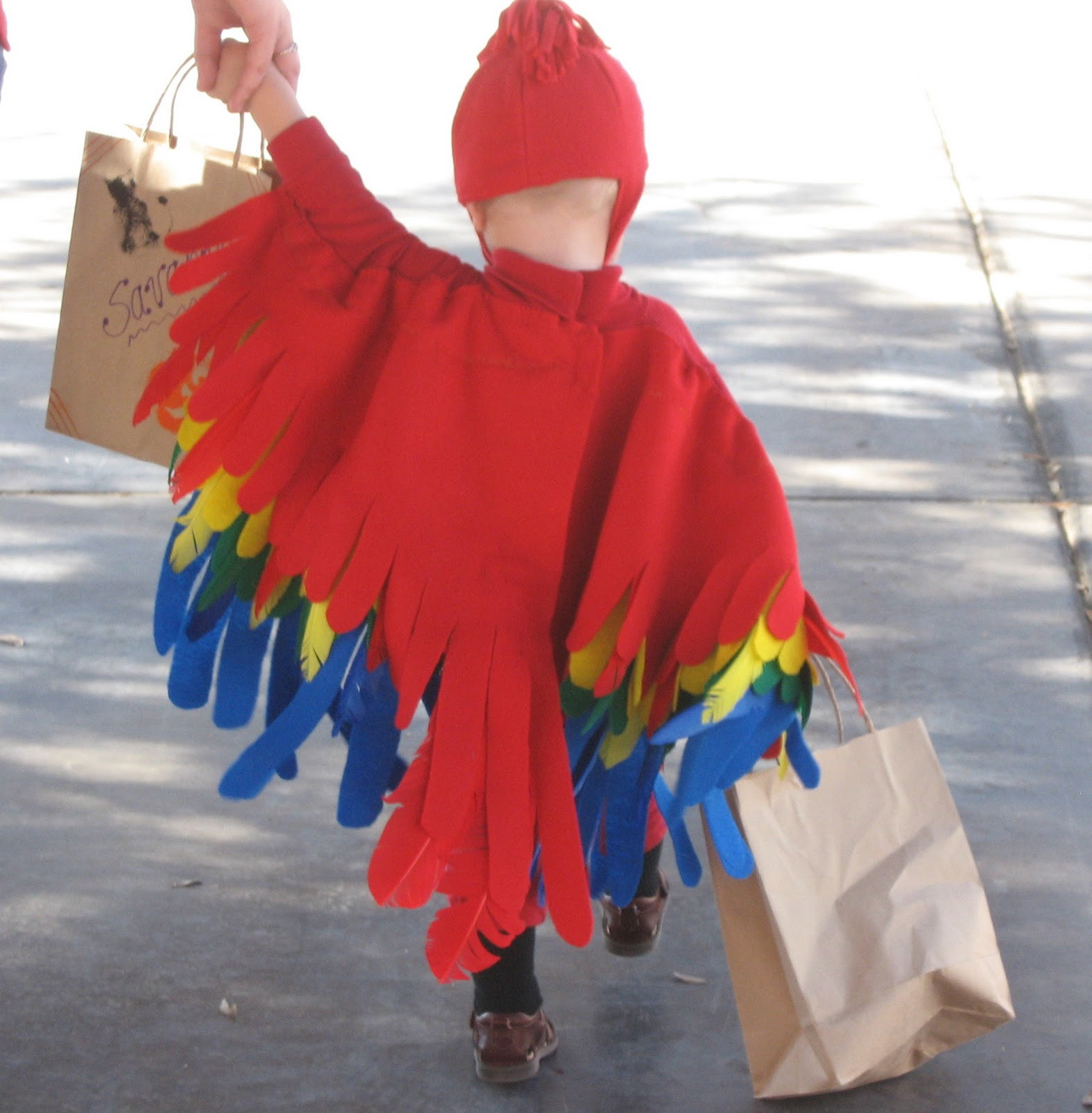 DIY Parrot Costume
 Homemade Parrot Costume