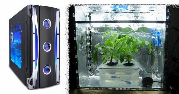 DIY Pc Grow Box
 Grow cabinet and grow box ideas – how to develop plants