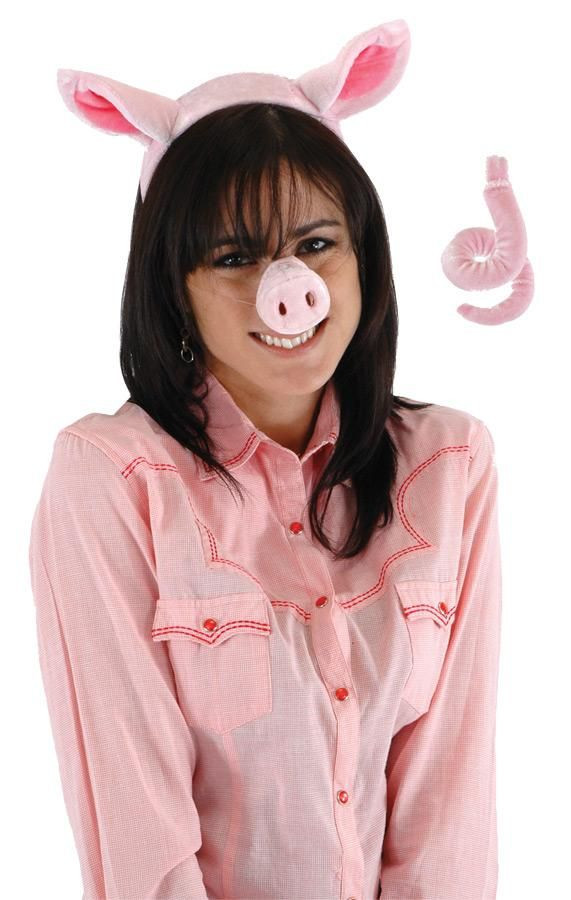 DIY Pig Costume
 27 best images about Barnyard Moosical on Pinterest