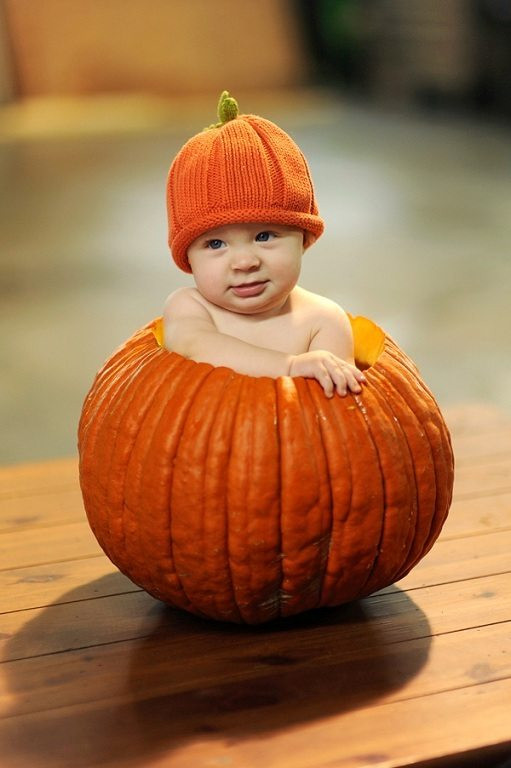 DIY Pumpkin Costume Toddler
 20 DIY Halloween Baby Costumes The Chic Site