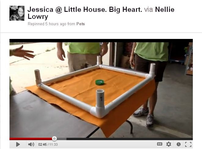 DIY Pvc Dog Bed
 DIY Raised PVC Dog Bed Little House Big Heart