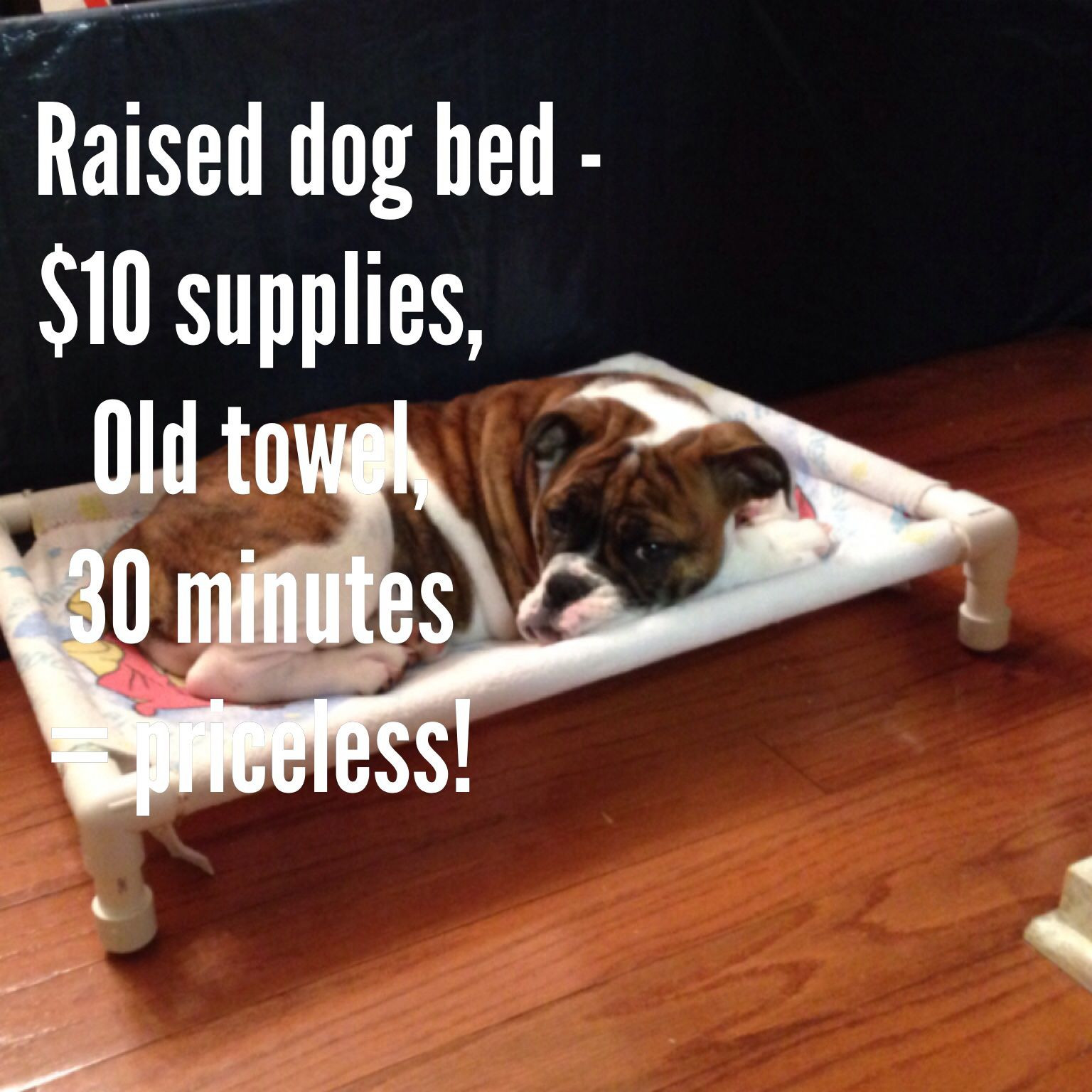 DIY Pvc Dog Bed
 Do it yourself raised dog bed with pvc piping and an old