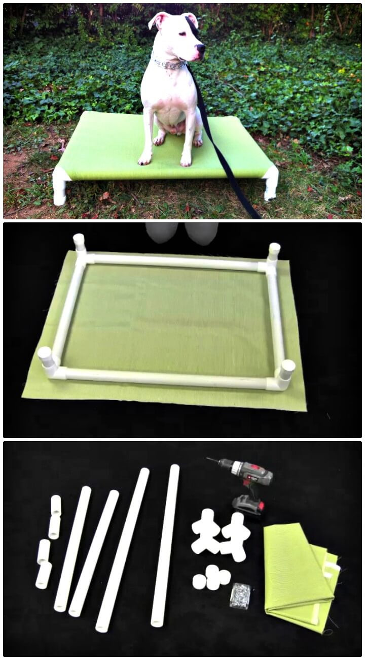 DIY Pvc Dog Bed
 9 DIY Dog Bed Ideas Using PVC Pipe ⋆ DIY Crafts