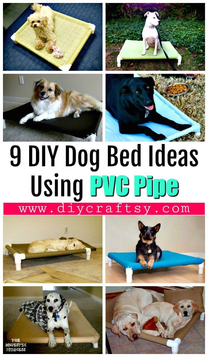 DIY Pvc Dog Bed
 9 DIY Dog Bed Ideas Using PVC Pipe DIY & Crafts