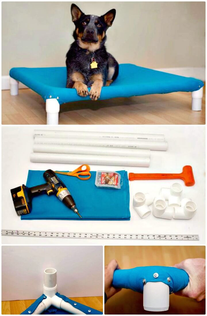 DIY Pvc Dog Bed
 9 DIY Dog Bed Ideas Using PVC Pipe ⋆ DIY Crafts