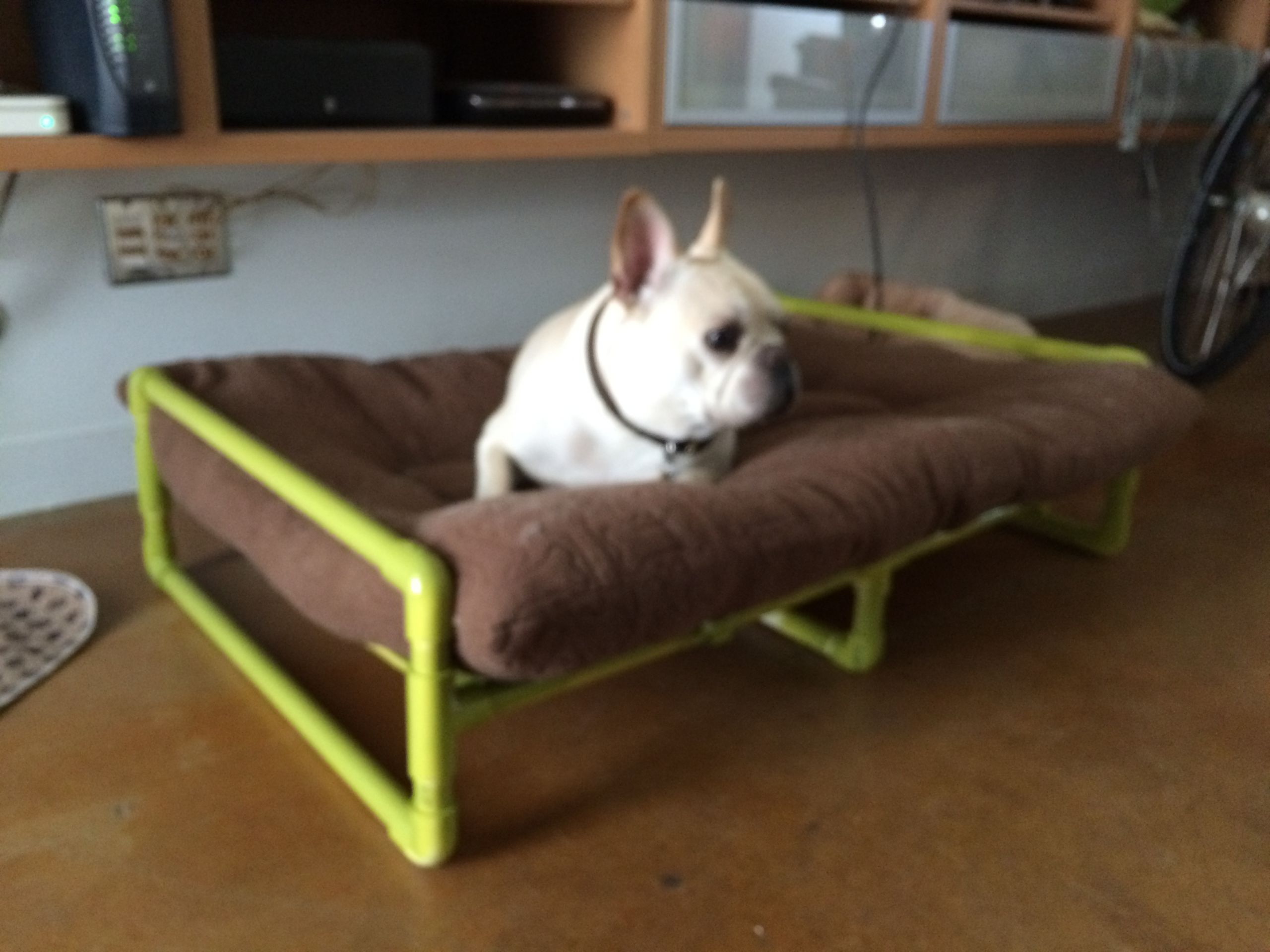 DIY Pvc Dog Bed
 PVC Pipe Dog Bed – NCL