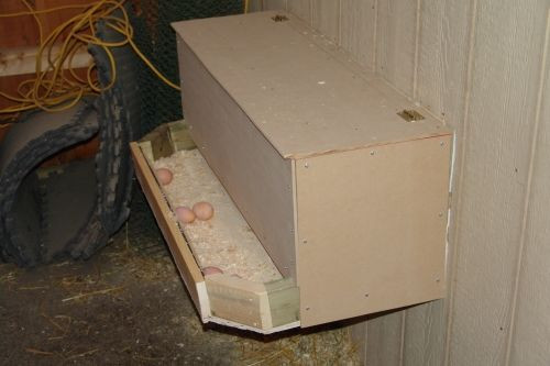 DIY Roll Away Nest Box
 Nesting boxes Catcher and Eggs on Pinterest