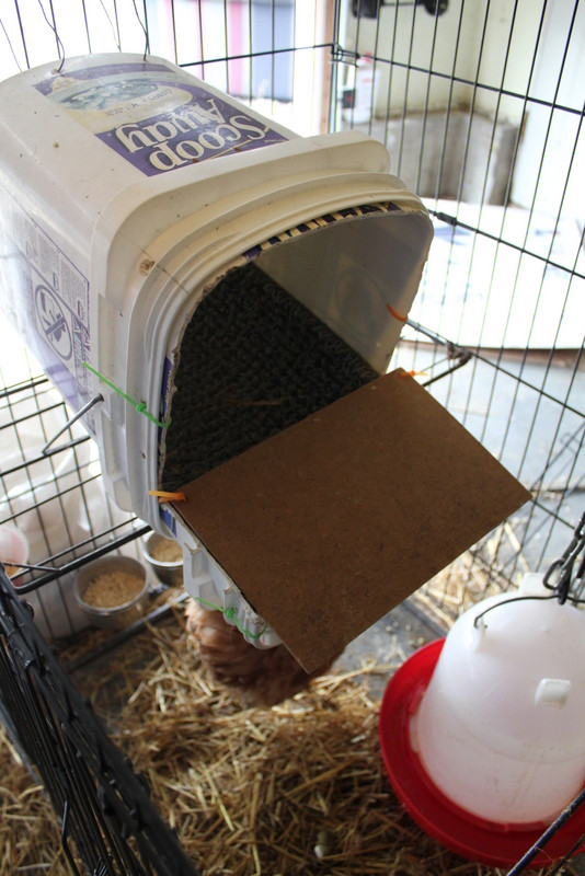 DIY Roll Away Nest Box
 DIY roll away nest box My Pet Chicken Blog