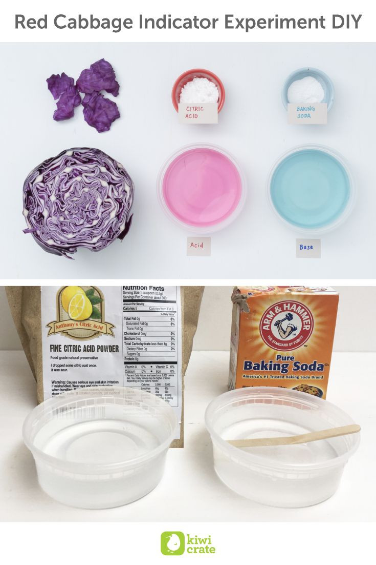 DIY Science Projects For Adults
 Red Cabbage Indicator Experiment DIY Did you know we use