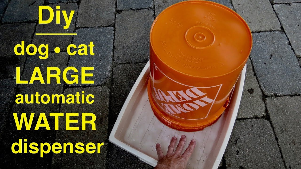 DIY Self Filling Dog Water Bowl
 Diy 5 Gallon DOG Water Station