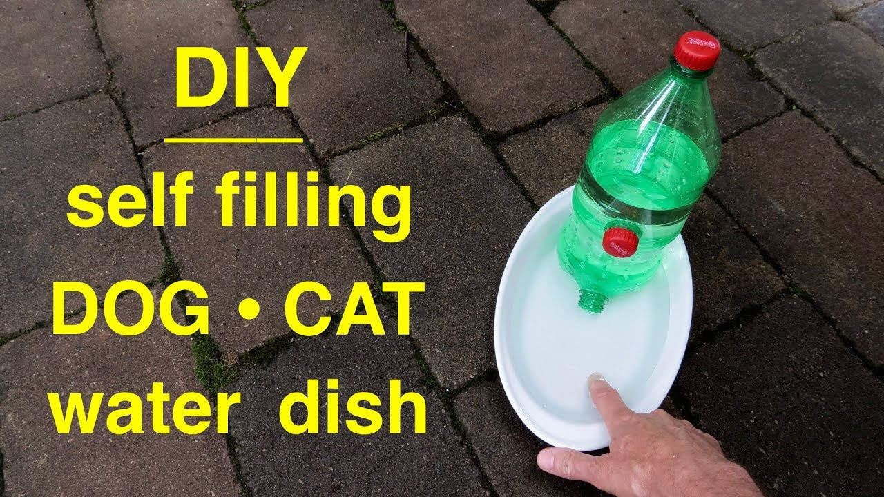 DIY Self Filling Dog Water Bowl
 How to make a DOG CAT Self filling Water Dish